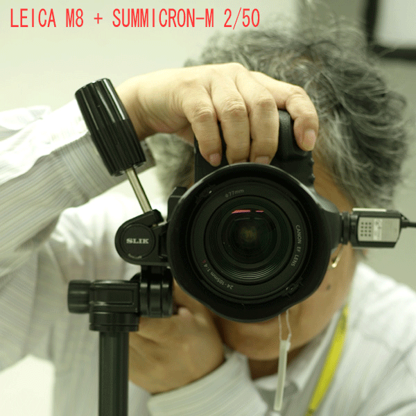 leica m8 + summicron-m 2/50