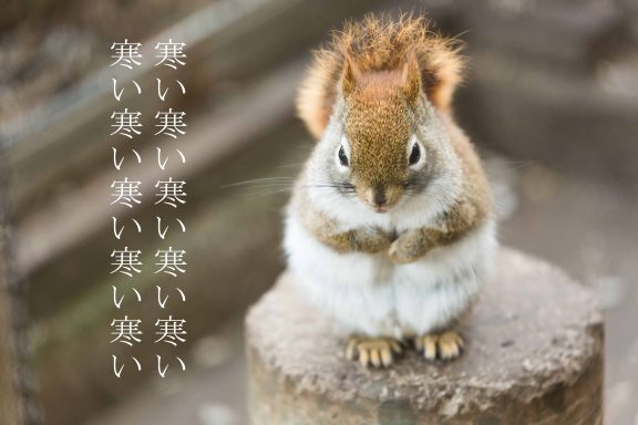 就活写真を撮りたい！男性ですが ヘアメイクできますか？