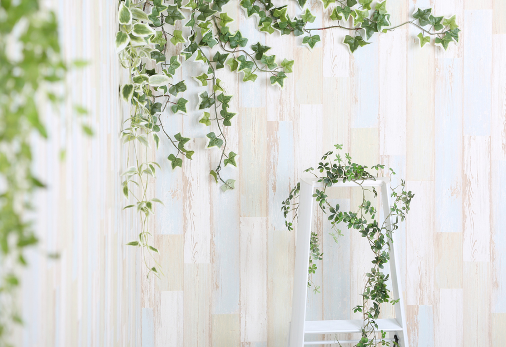 スタジオ728名古屋栄撮影ブース壁紙