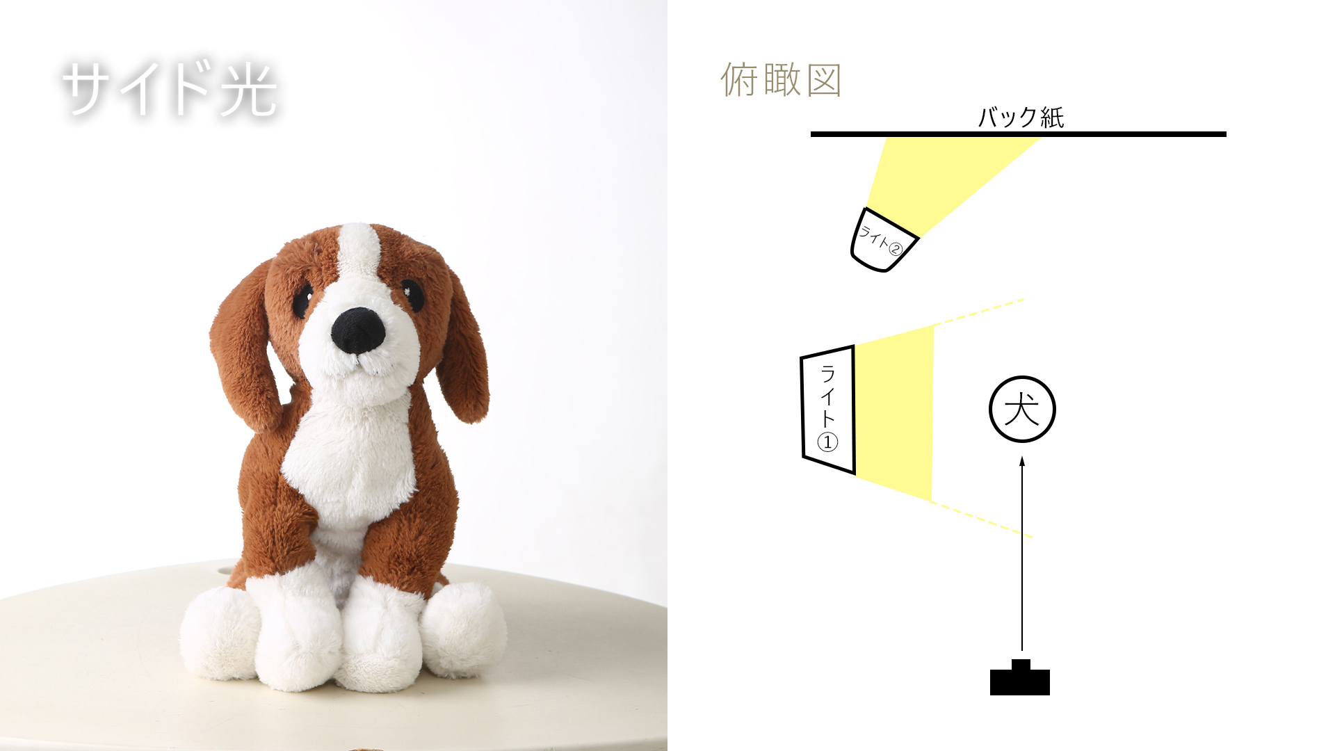 スタジオライティング図解-2/サイド光の再現