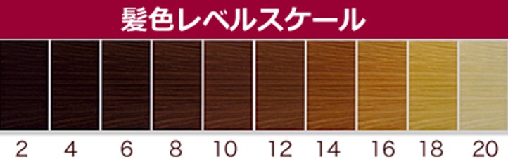 髪色レベルサンプル